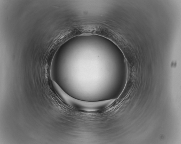 X0000091221394200708091358