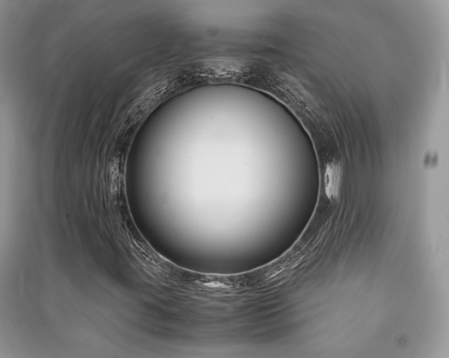 X0000091221395200708091358