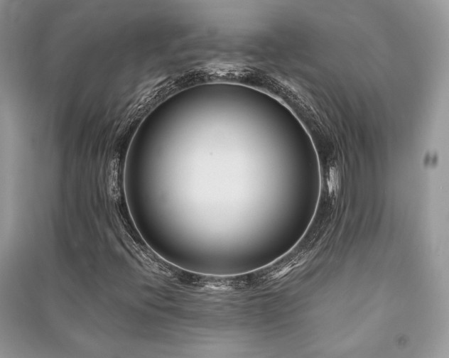 X0000091221396200708091358