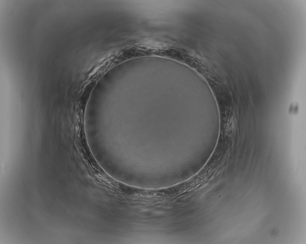X0000091221397200708091358
