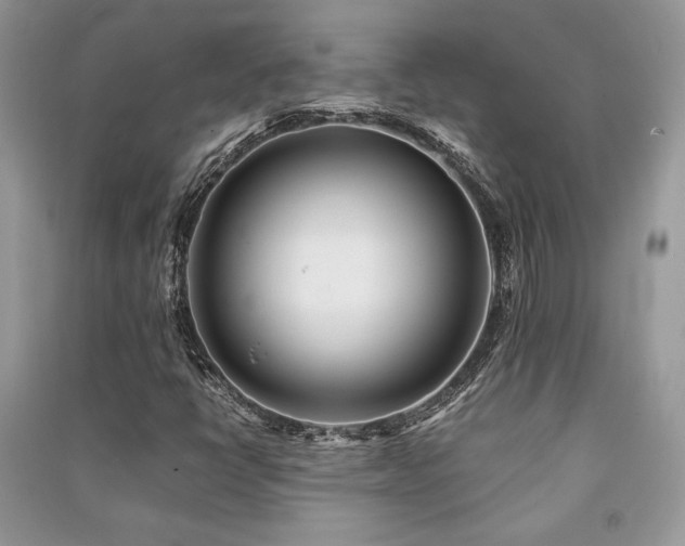 X0000091221398200708091358