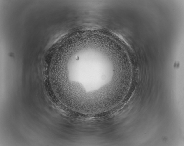 X0000091221399200708091358