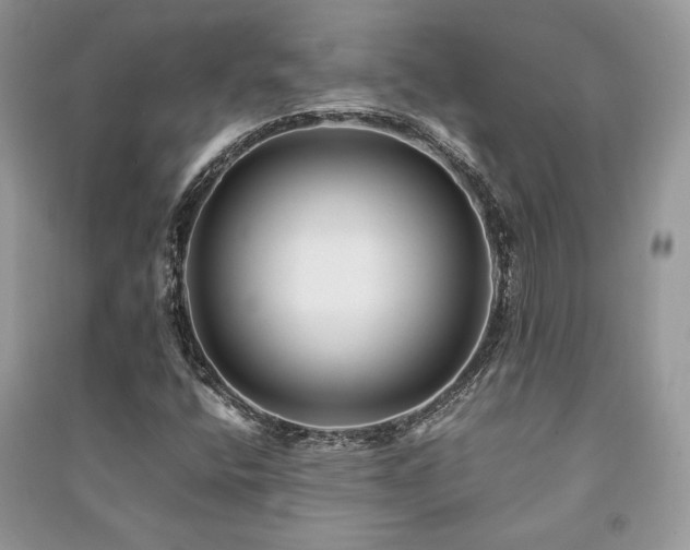 X0000091221400200708091358