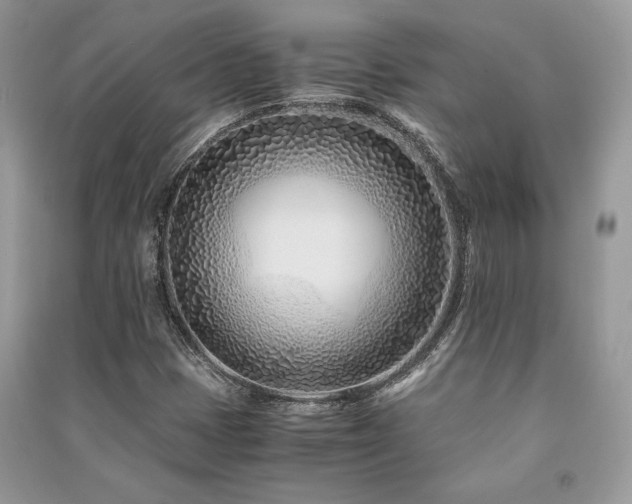 X0000091221401200708091358