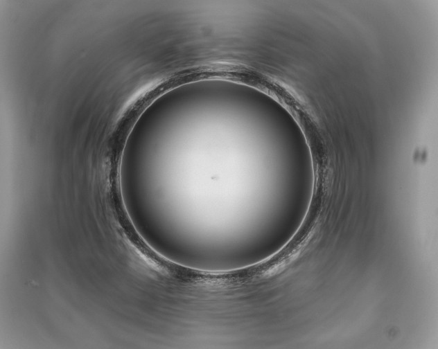 X0000091221402200708091358