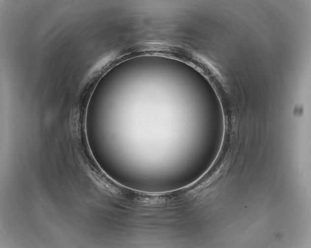X0000091221403200708091358