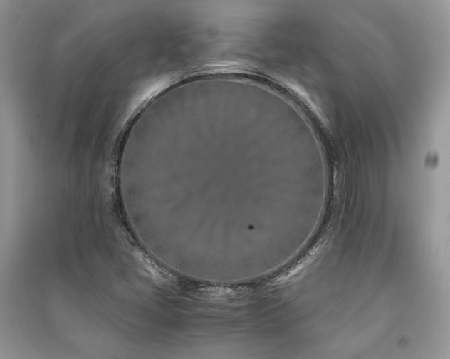X0000091221405200708091358