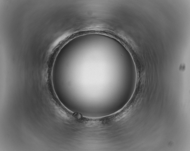 X0000091221406200708091358