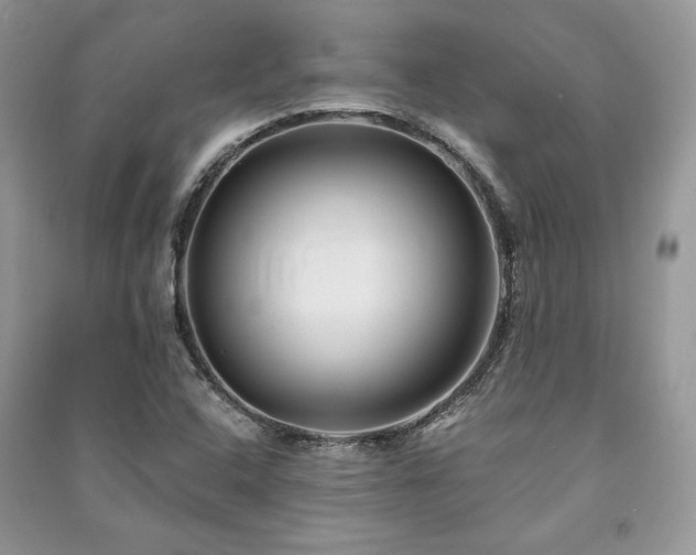 X0000091221408200708091358