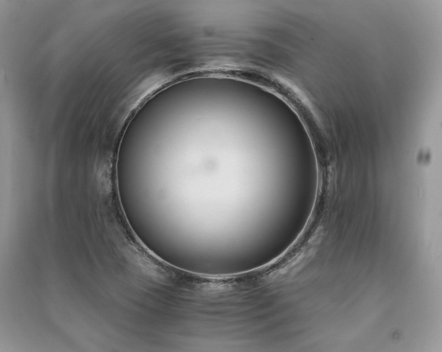X0000091221409200708091358