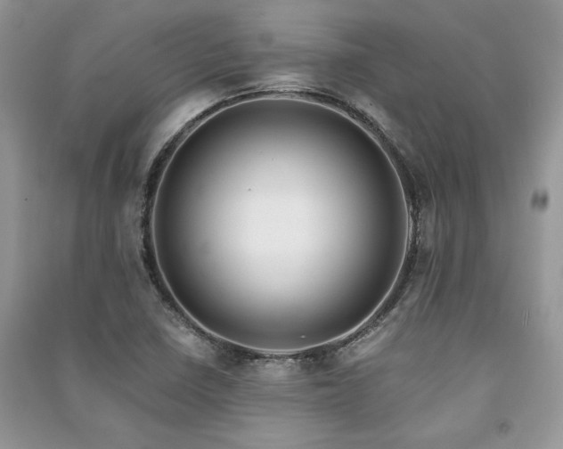 X0000091221410200708091358