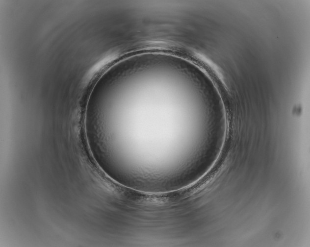 X0000091221411200708091358