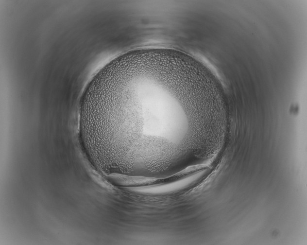X0000091221413200708091358