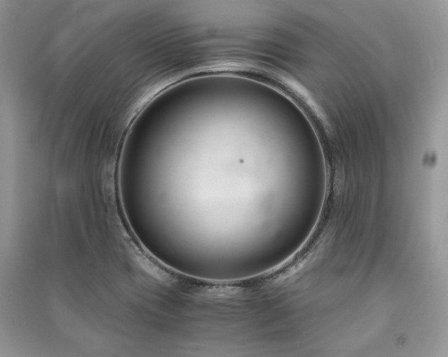 X0000091221417200708091358