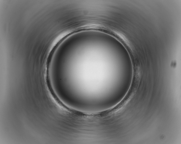 X0000091221418200708091358