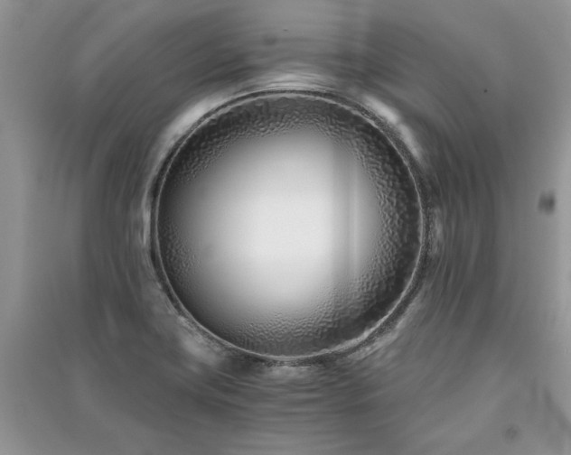 X0000091221419200708091358
