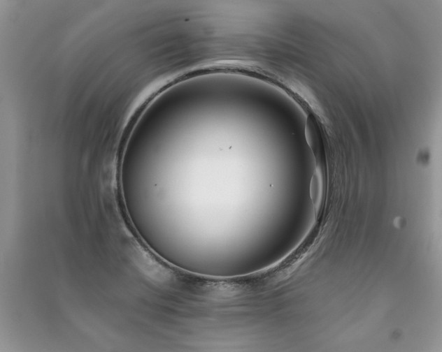 X0000091221420200708091358