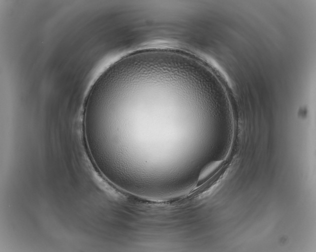 X0000091221421200708091358