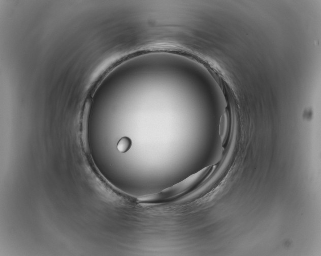 X0000091221422200708091358