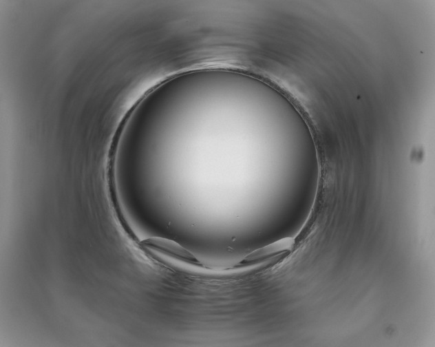 X0000091221423200708091358