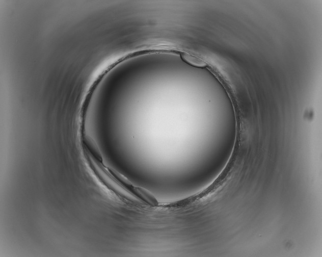 X0000091221424200708091358