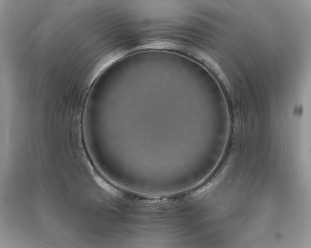 X0000091221425200708091358