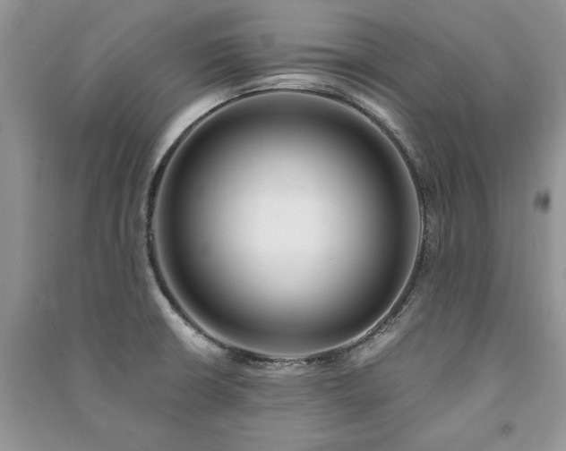 X0000091221426200708091358