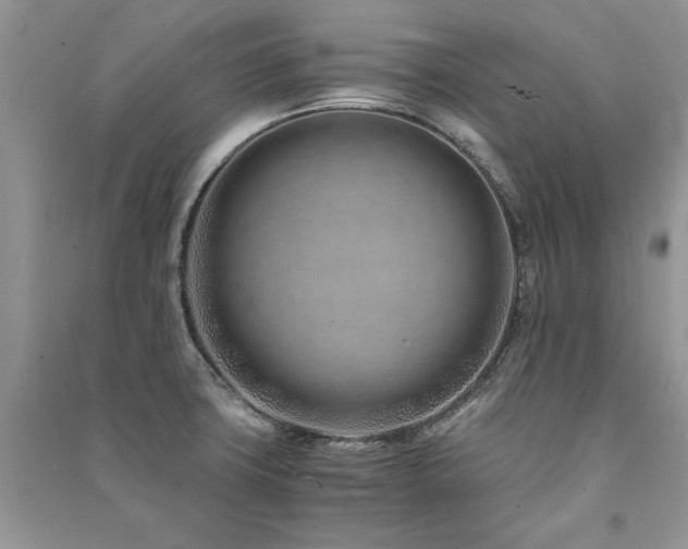 X0000091221427200708091358