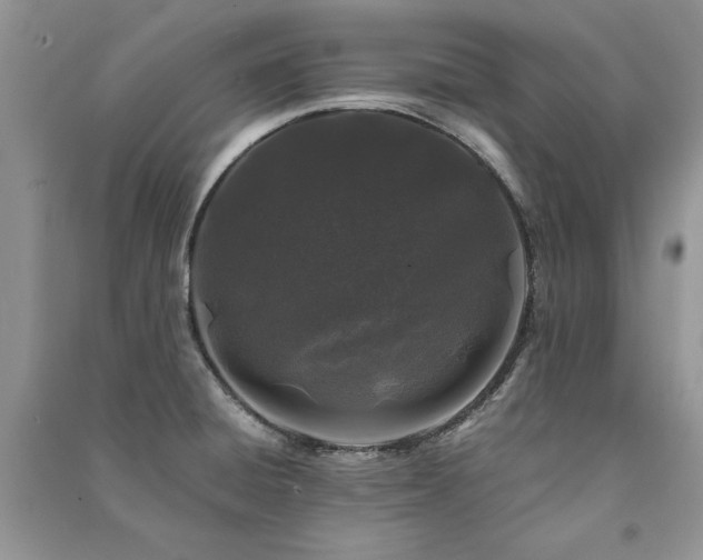 X0000091221428200708091358