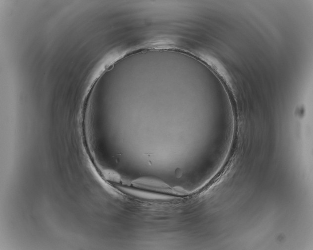 X0000091221429200708091358