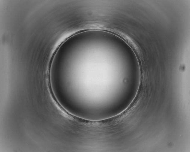X0000091221432200708091358