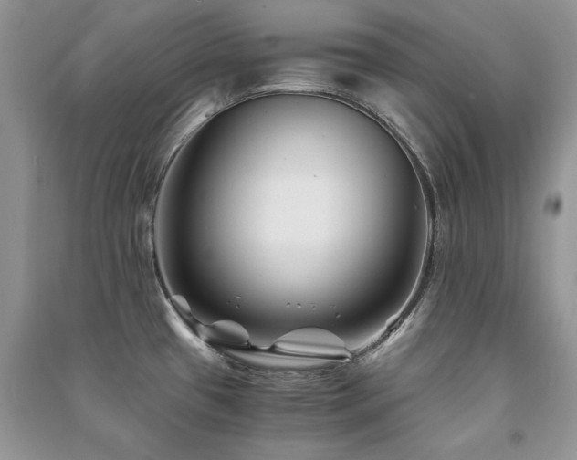 X0000091221433200708091358