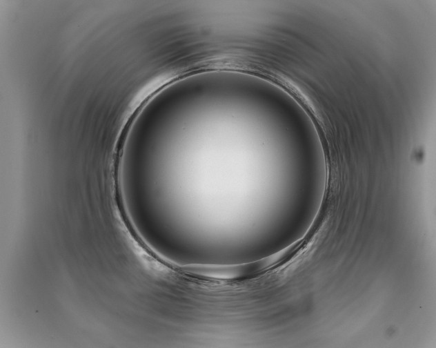 X0000091221434200708091358