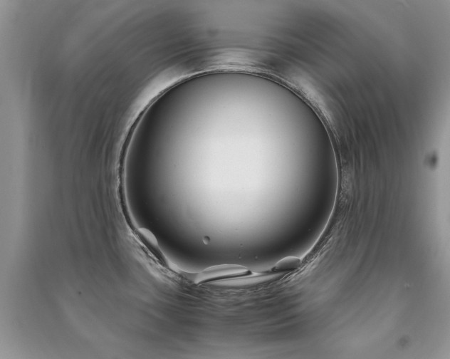 X0000091221435200708091358
