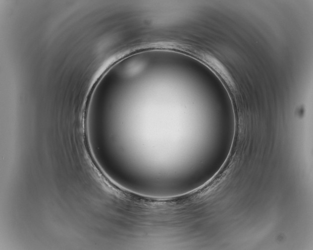 X0000091221436200708091358
