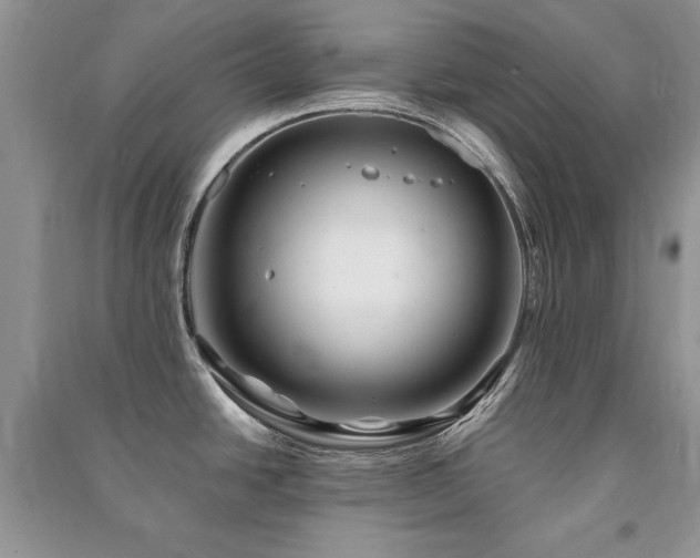 X0000091221438200708091359