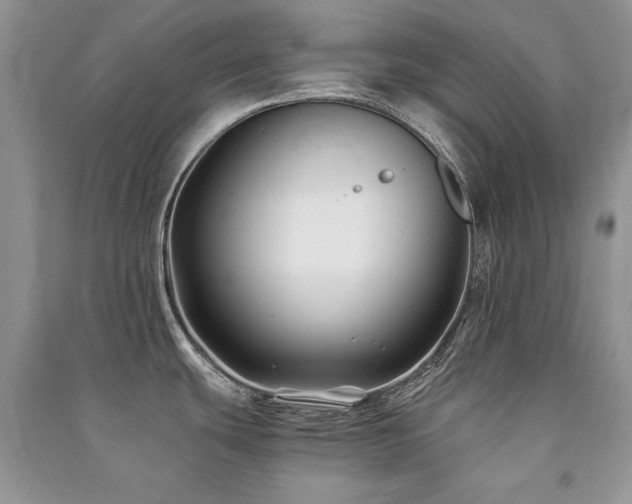 X0000091221439200708091359