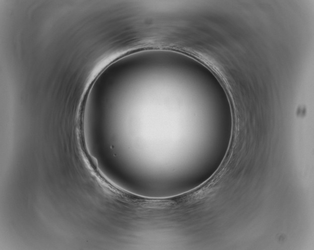 X0000091221440200708091359