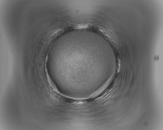 X0000091221441200708091358