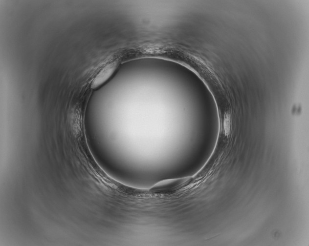 X0000091221444200708091358