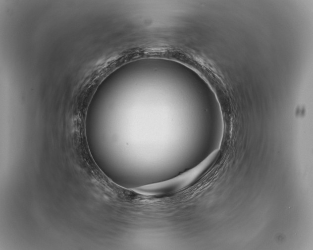 X0000091221445200708091358