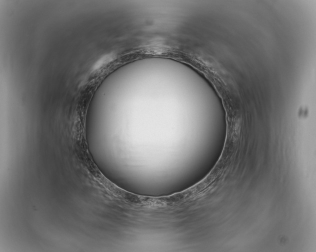 X0000091221446200708091358