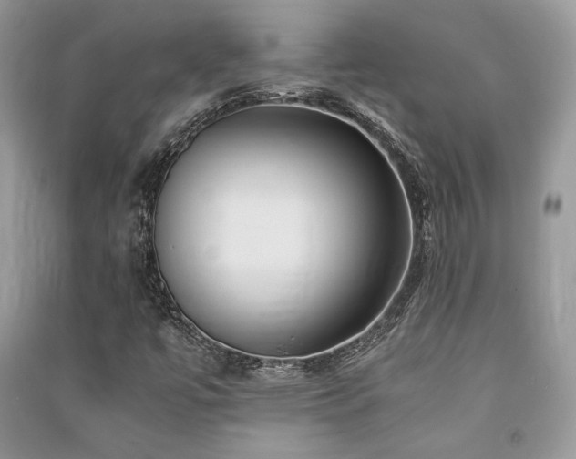 X0000091221447200708091358