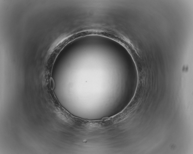 X0000091221448200708091358