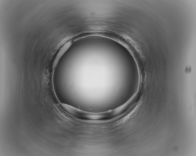 X0000091221449200708091358