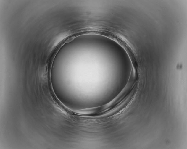 X0000091221450200708091358