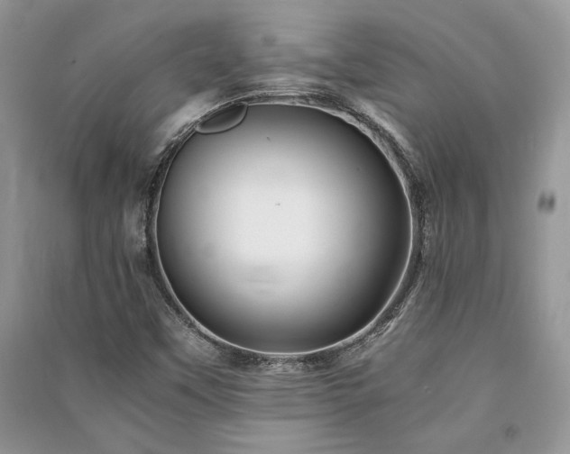 X0000091221451200708091358