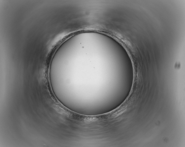 X0000091221454200708091358