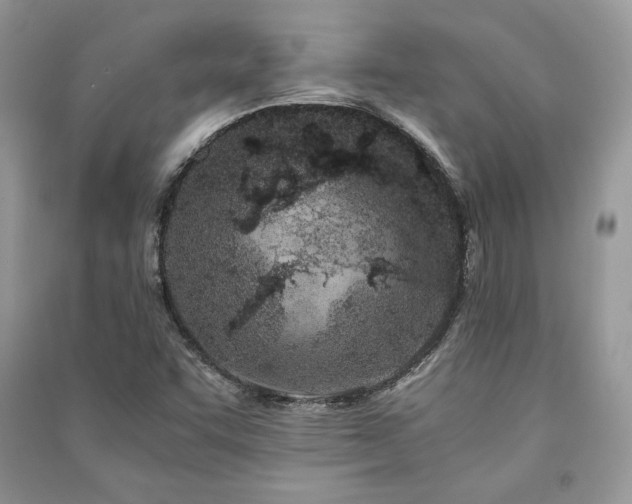 X0000091221455200708091358