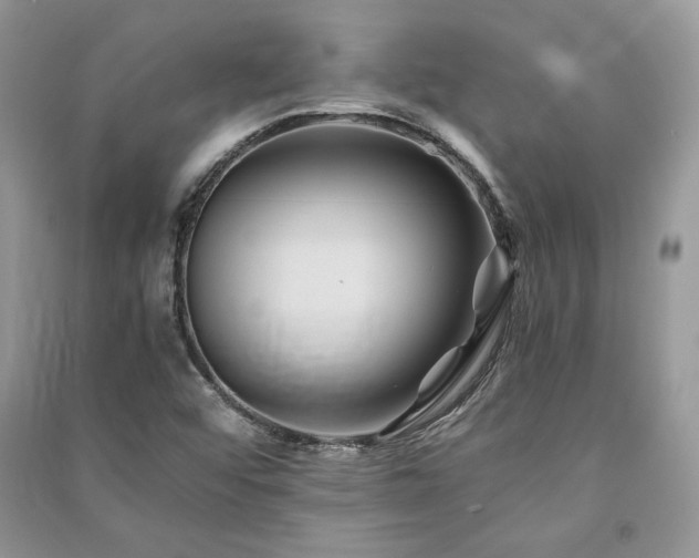 X0000091221456200708091358